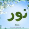 Nourmahmoud
